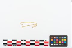 Foto von Golddrahtring (NHMW-PRAE-025483)